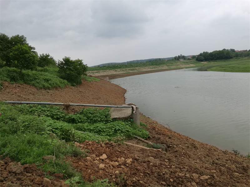 道水護(hù)坡工程